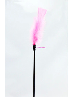 PLUMERO ROSA